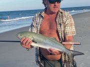 OBX Bait & Tackle Corolla Outer Banks, Corolla Fish Report