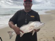 OBX Bait & Tackle Corolla Outer Banks, Corolla Fishing Report