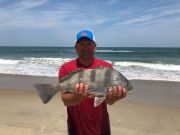 OBX Bait & Tackle Corolla Outer Banks, Corolla Fishing Report