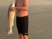 OBX Bait & Tackle Corolla Outer Banks, Corolla Fish Report
