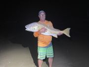 OBX Bait & Tackle Corolla Outer Banks, Corolla Fish Report