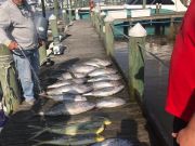 Pirate's Cove Marina, Yellowfin..Mahi..and Speckled Trout