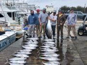 Pirate's Cove Marina, Give us ALL the Tuna!