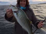 TW’s Bait & Tackle, TW's Daily fishing Report. 1/5/16