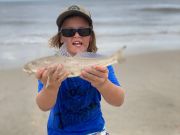 OBX Bait & Tackle Corolla Outer Banks, Corolla Fish report