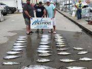 OBX Bait & Tackle Corolla Outer Banks, Corolla Fish report