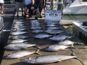 Bite Me Sportfishing Charters, Spring Meat Haul