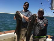 OBX Bait & Tackle Corolla Outer Banks, Corolla Fishing Report