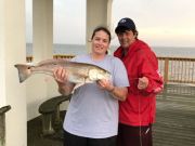 OBX Bait & Tackle Corolla Outer Banks, Corolla Fish Report