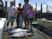 OBX Bait & Tackle Corolla Outer Banks, Corolla Fishing Report