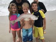 OBX Bait & Tackle Corolla Outer Banks, Corolla Fish report