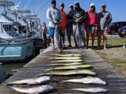 OBX Bait & Tackle Corolla Outer Banks, Corolla Fish Report