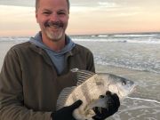 OBX Bait & Tackle Corolla Outer Banks, Corolla Fish Report