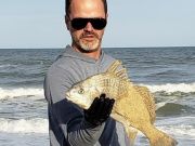 OBX Bait & Tackle Corolla Outer Banks, Corolla Fish Report