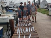 Sea Hunter 2 Sportfishing Charters, Week in review