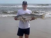 OBX Bait & Tackle Corolla Outer Banks, Corolla Fish Report