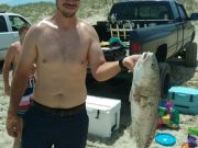 OBX Bait & Tackle Corolla Outer Banks, Corolla Fish Report