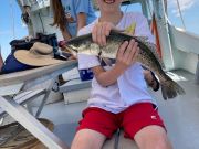 OBX Bait & Tackle Corolla Outer Banks, Corolla Fish Report