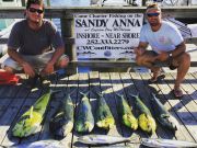 OBX Bait & Tackle Corolla Outer Banks, Corolla Fishing Report