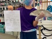 OBX Bait & Tackle Corolla Outer Banks, Corolla Fish Report