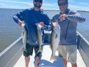 OBX Bait & Tackle Corolla Outer Banks, Corolla Fish Report