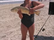 OBX Bait & Tackle Corolla Outer Banks, Corolla Fish Report