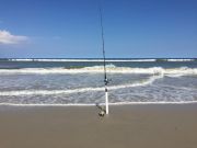 OBX Bait & Tackle Corolla Outer Banks, Corolla Fish Report