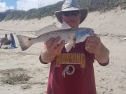 OBX Bait & Tackle Corolla Outer Banks, Corolla Fish Report