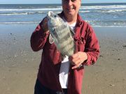 OBX Bait & Tackle Corolla Outer Banks, Corolla Fish Report