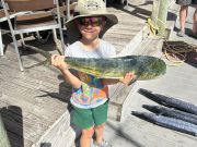 Gecko Sportfishing, Inshore and offshore