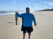 OBX Bait & Tackle Corolla Outer Banks, Corolla Fish Report