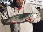 TW’s Bait & Tackle, Daily fishing Report