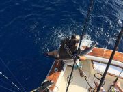 OBX Bait & Tackle Corolla Outer Banks, Corolla Fishing Report