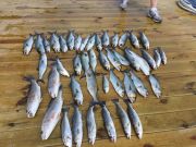 T-Time Charters, Great trout fishing
