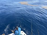 Gecko Sportfishing, First Offshore Trip