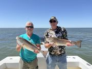 Gecko Sportfishing, Inshore Drum Fishing