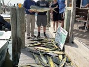Gecko Sportfishing, Good Fishing All Around