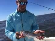T-Time Charters, Pretty day, crappy fishing
