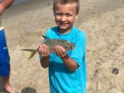 OBX Bait & Tackle Corolla Outer Banks, Corolla Fish Report