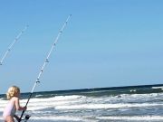 OBX Bait & Tackle Corolla Outer Banks, Corolla Fish Report