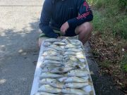 OBX Bait & Tackle Corolla Outer Banks, Corolla Fish Report