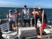 OBX Bait & Tackle Corolla Outer Banks, Corolla Fish Report