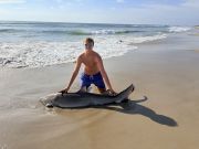 OBX Bait & Tackle Corolla Outer Banks, Corolla Fish Report