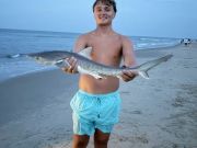 OBX Bait & Tackle Corolla Outer Banks, Corolla Fish Report