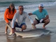 OBX Bait & Tackle Corolla Outer Banks, Corolla Fish Report