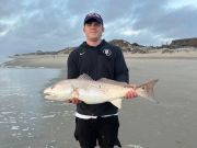 OBX Bait & Tackle Corolla Outer Banks, Corolla Fish Report