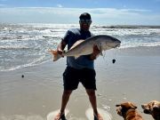 OBX Bait & Tackle Corolla Outer Banks, Corolla Fish Report