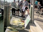 Gecko Sportfishing, Good Day Offshore