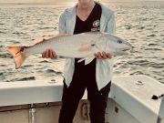 Gecko Sportfishing, Ladies Evening Trip