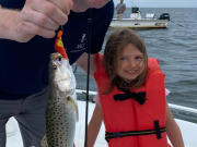 Frank & Fran's Bait & Tackle, Speckled trout in the sound